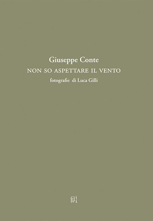 Non so aspettare il vento - Giuseppe Conte - copertina