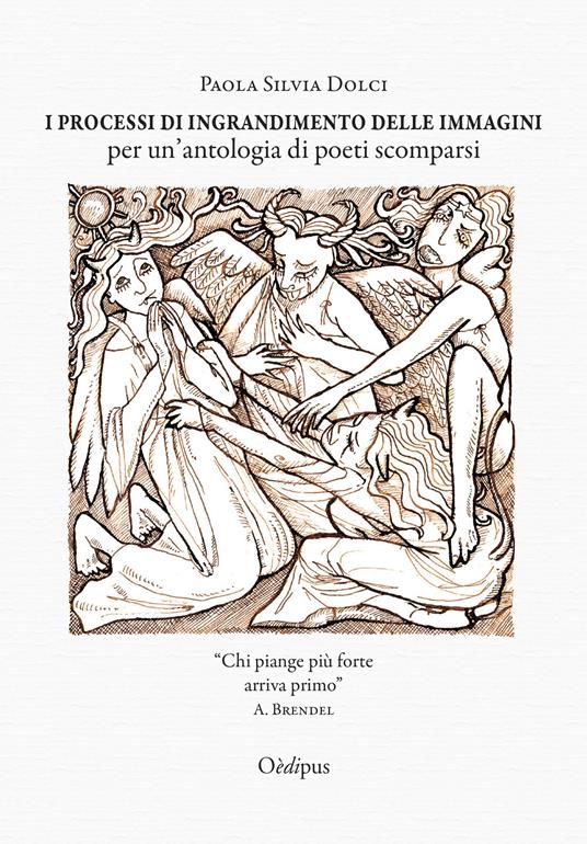 I processi di ingrandimento delle immagini per un'antologia di poeti scomparsi - Paola Silvia Dolci - copertina