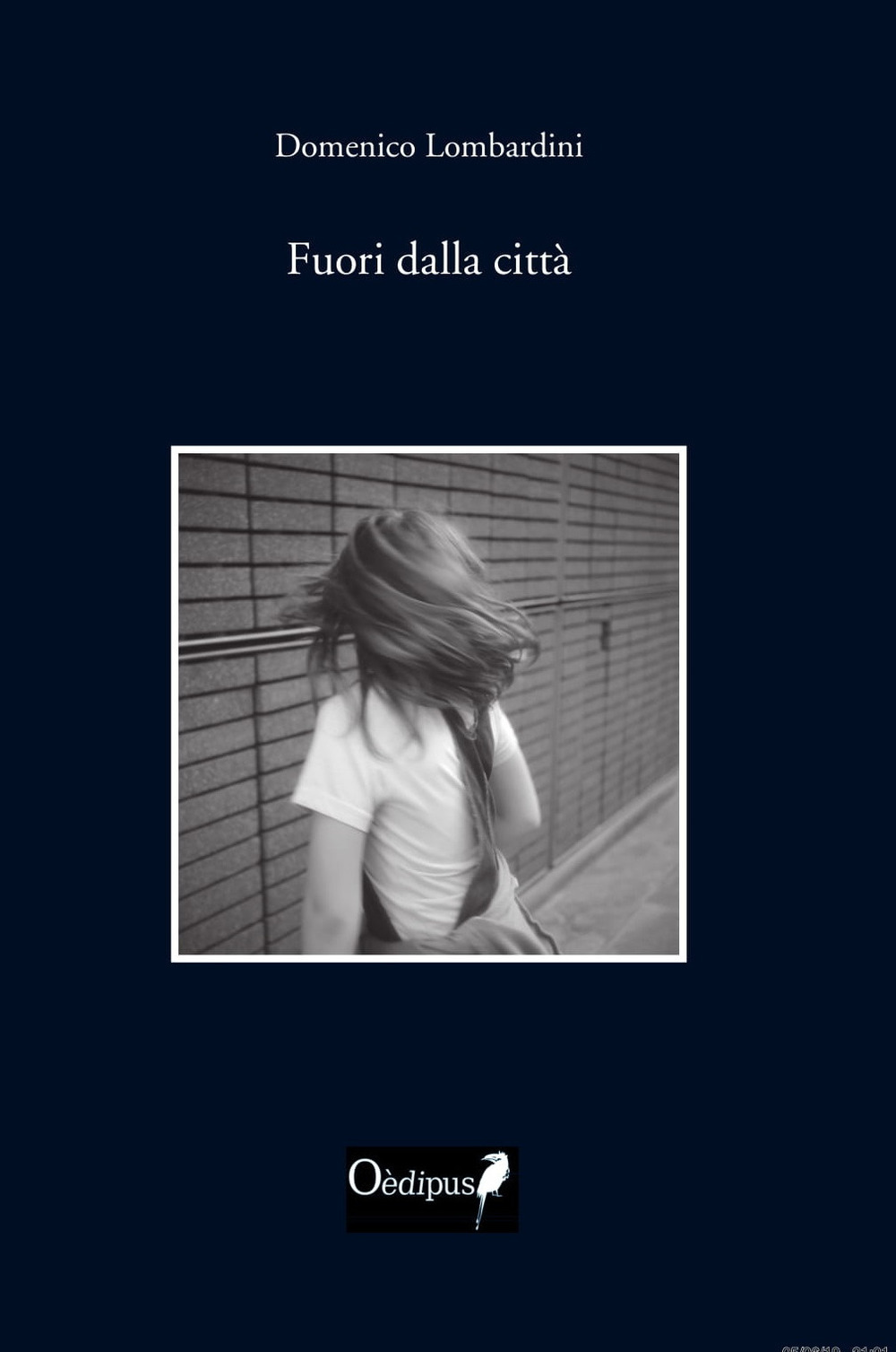 Libraccio
