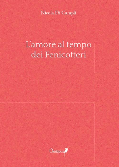 L' amore al tempo dei fenicotteri - Nicola Di Campli - copertina