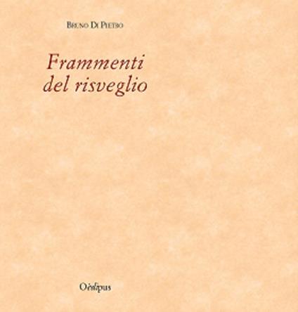 Frammenti del risveglio - Bruno Di Pietro - copertina
