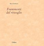 Frammenti del risveglio