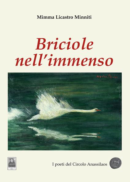 Briciole nell'immenso - Mimma Licastro Minniti - copertina