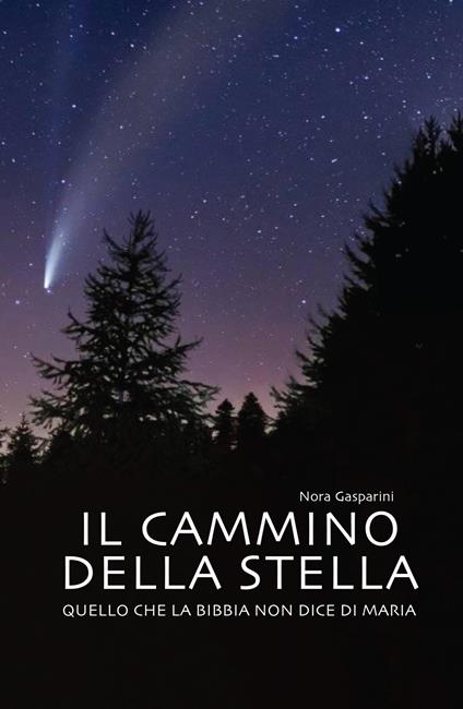 Il cammino della stella. Quello che la Bibbia non dice di Maria - Nora Gasparini - copertina