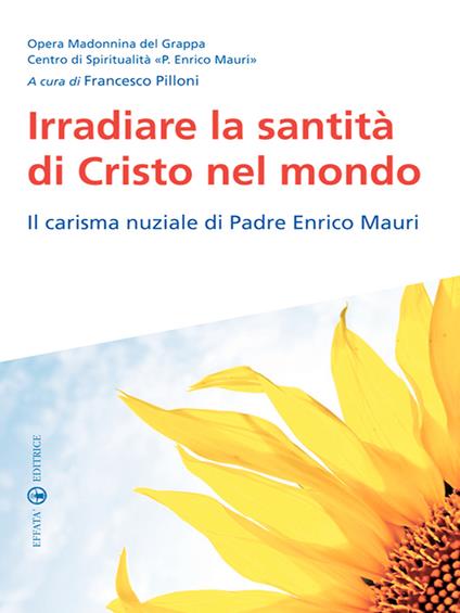 Irradiare la santità di Cristo nel mondo. Il carisma nuziale di padre Enrico Mauri - Francesco Pilloni - ebook