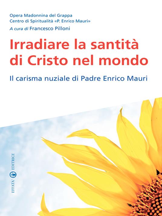 Irradiare la santità di Cristo nel mondo. Il carisma nuziale di padre Enrico Mauri - Francesco Pilloni - ebook
