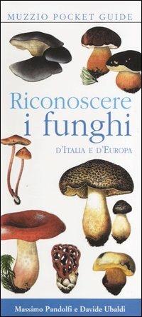 Riconoscere i funghi d'Italia e d'Europa - Massimo Pandolfi,Davide Ubaldi - copertina