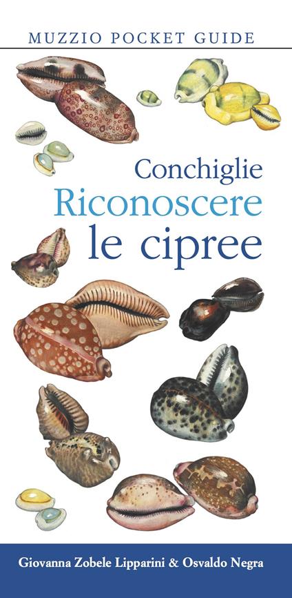 Conchiglie. Riconoscere le cipree - Giovanna Zobele Lipparini,Osvaldo Negra - copertina