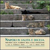 Napoli in salita e discesa. Percorso alla scoperta delle scale napoletane - Gabriella Guida - copertina