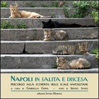 Napoli in salita e discesa. Percorso alla scoperta delle scale napoletane - Gabriella Guida - copertina