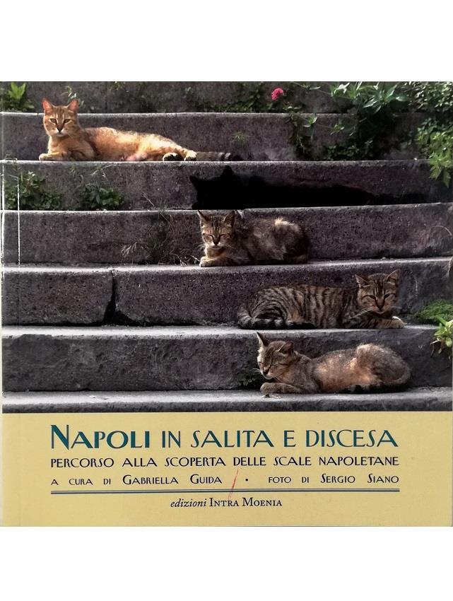 Libreria Tara