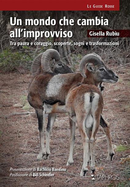 Un mondo che cambia all'improvviso. Tra paura e coraggio, scoperte, sogni e trasformazioni - Gisella Rubiu - copertina