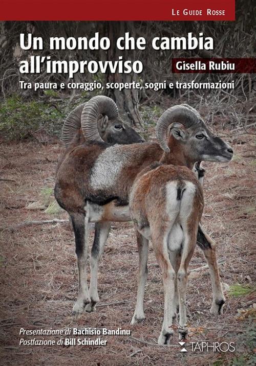 Un mondo che cambia all'improvviso. Tra paura e coraggio, scoperte, sogni e trasformazioni - Gisella Rubiu - copertina