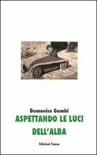 Aspettando le luci dell'alba - Domenico Gambi - copertina