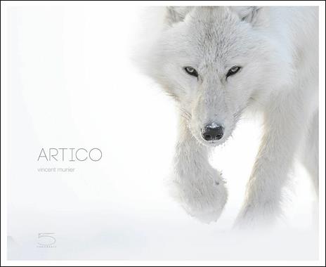 Artico. Ediz. a colori - Vincent Munier - copertina