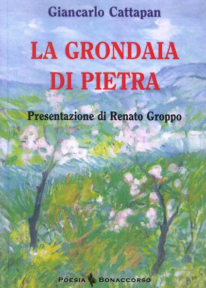 La grondaia di pietra - Giancarlo Cattapan - copertina