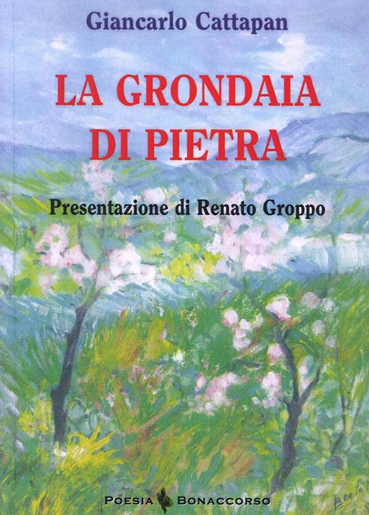 La grondaia di pietra - Giancarlo Cattapan - copertina