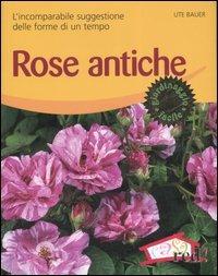 Rose antiche. L'incomparabile suggestione delle forme di un tempo. Ediz. illustrata - Ute Bauer - copertina