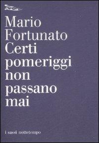 Certi pomeriggi non passano mai - Mario Fortunato - copertina