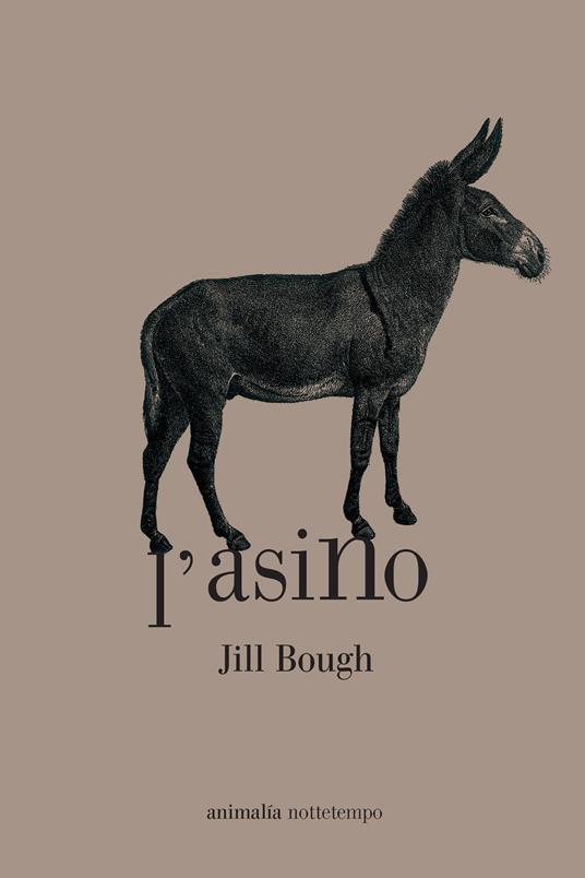 L'asino - Jill Bough - copertina