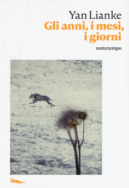 Gli anni, i mesi, i giorni - Lianke Yan - copertina