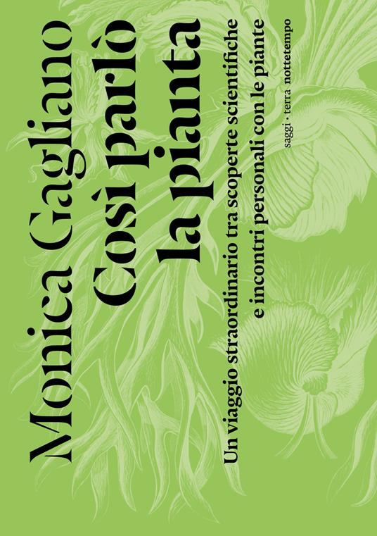 Così parlò la pianta. Un viaggio straordinario tra scoperte scientifiche e incontri personali con le piante - Monica Gagliano - copertina