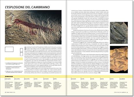 Evoluzione. La storia completa - 2