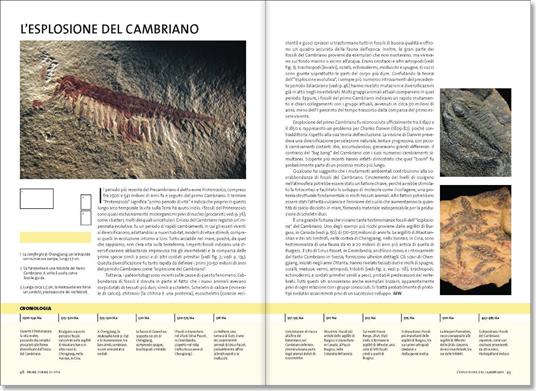 Evoluzione. La storia completa - 2