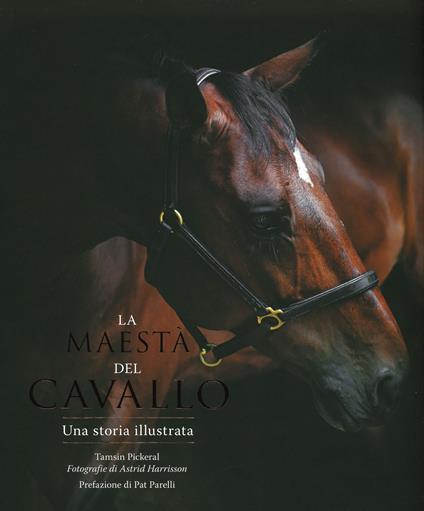 La maestà del cavallo. Una storia illustrata. Ediz. illustrata - Mike Unwin - copertina