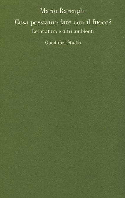 Cosa possiamo fare con il fuoco? Letteratura e altri ambienti - Mario Barenghi - copertina