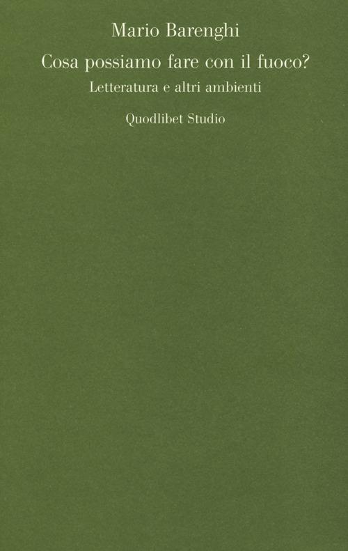 Cosa possiamo fare con il fuoco? Letteratura e altri ambienti - Mario Barenghi - copertina