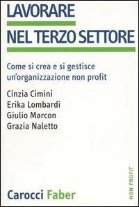 Lavorare nel terzo settore. Come si crea e si gestisce un'organizzazione non profit - copertina