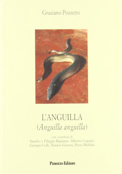 L'anguilla - Graziano Pozzetto - copertina