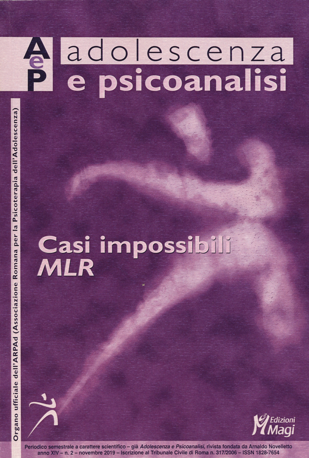 Librisaggi