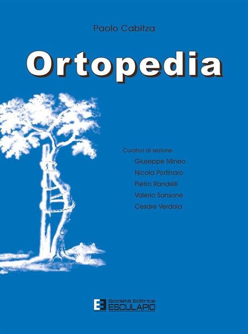 Ortopedia - Paolo Cabitza - copertina