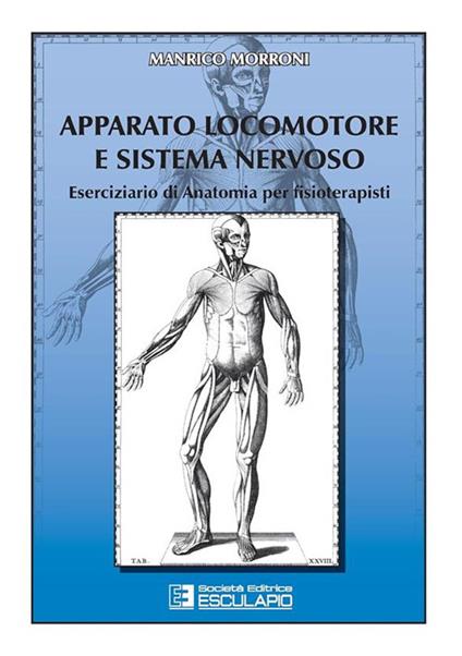 Apparato locomotore e sistema nervoso. Eserciziario di anatomia per fisioterapisti - Manrico Morroni - copertina