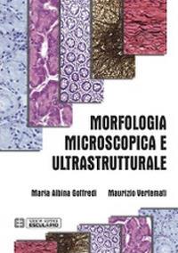 Morfologia microscopica e ultrastrutturale. Istologia e anatomia microscopica - Maria Albina Goffredi,Maurizio Vertemati - copertina