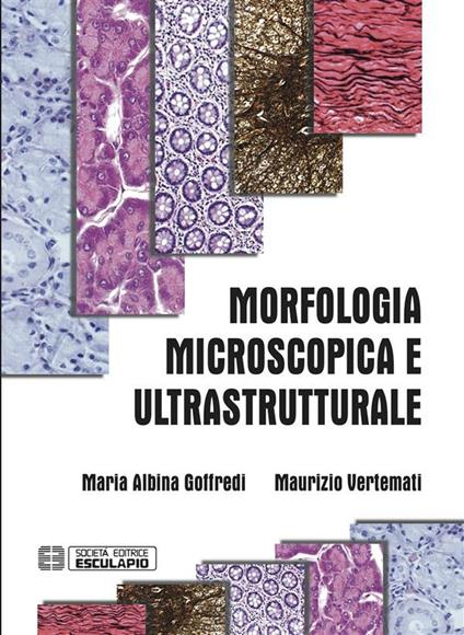 Morfologia microscopica e ultrastrutturale. Istologia e anatomia microscopica - Maria Albina Goffredi,Maurizio Vertemati - ebook