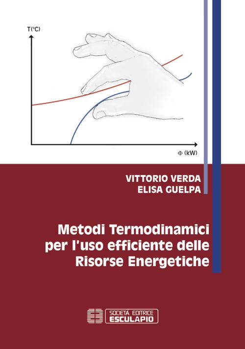 Metodi termodinamici per l'uso efficiente delle risorse energetiche - Vittorio Verda,Elisa Guelpa - copertina