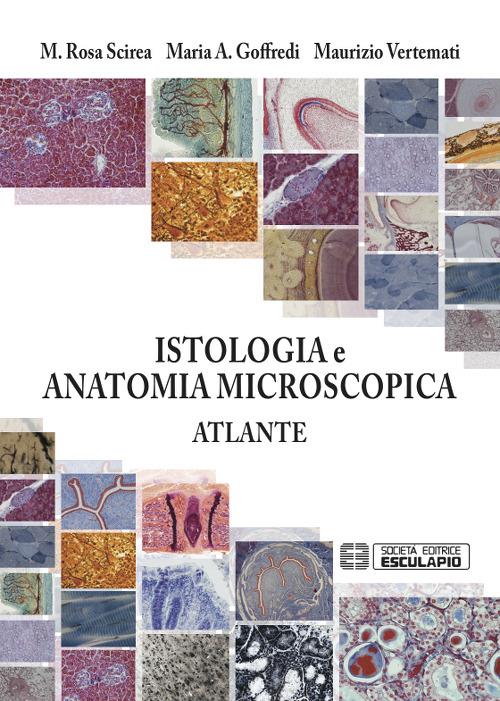 Istologia e anatomia microscopica. Atlante - Maurizio Vertemati,M. Rosa Scirea,Maria Albina Goffredi - copertina