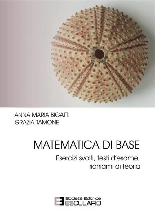 Matematica di base. Esercizi svolti, testi d'esame, richiami di teoria - Anna Maria Bigatti,Grazia Tamone - copertina