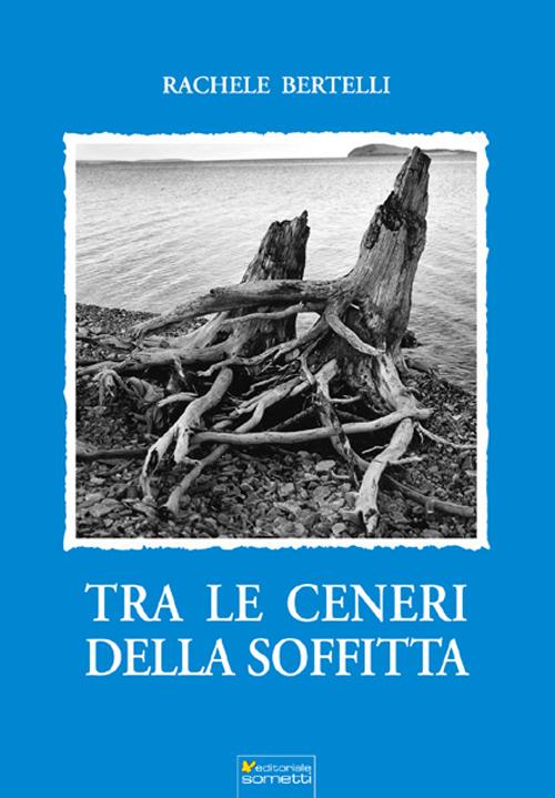 Tra le ceneri della soffitta - Rachele Bertelli - copertina