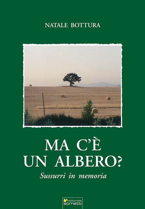 Ma c'è un albero? - Natale Bottura - copertina