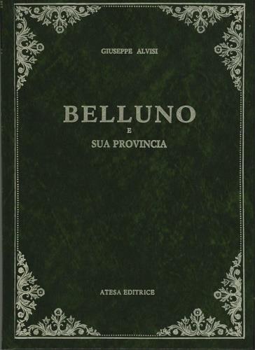 Storia di Belluno e la sua provincia (rist. anast.) - Giuseppe Alvisi - copertina