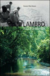 Lambro. Acque di Brianza - Domenico Flavio Ronzoni - copertina