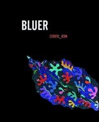 Estatic icon - Bluer - copertina