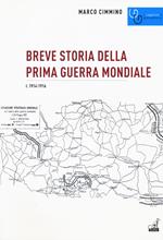 Breve storia della prima guerra mondiale. Vol. 1: 1914-1916.