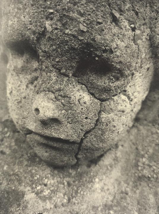 Cosa nostra - Paolo Toffolutti - copertina