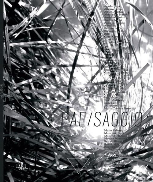 Pae/saggi. Ediz. illustrata - copertina