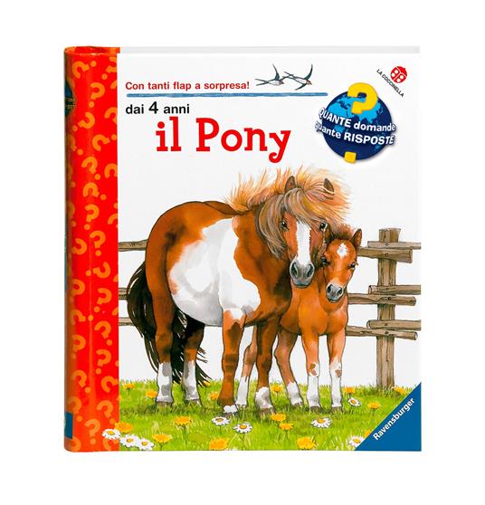 Il pony. Ediz. illustrata - Thea Ross - copertina
